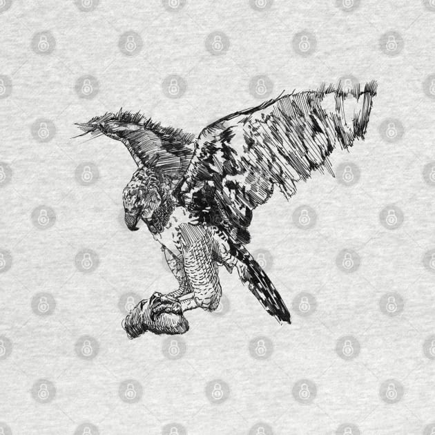 Harpy Eagle Ink Drawing by Fireside Press